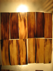 Buffalo Horn Plates