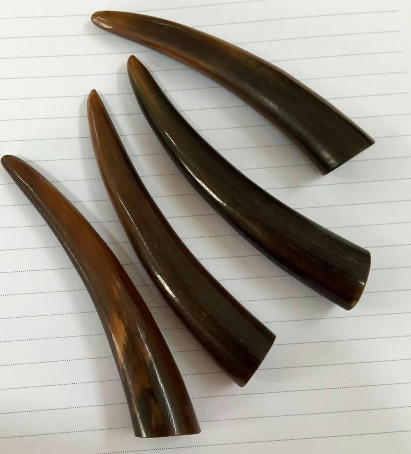 Buffalo Horn Toggle Button